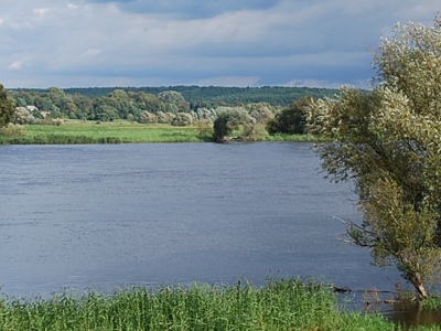 Ein feuchtes Gefhl